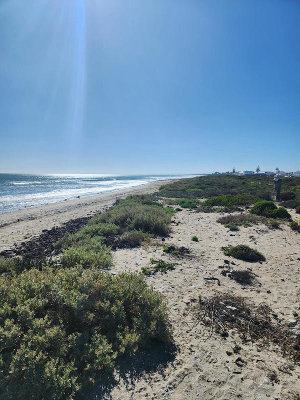 0 Bedroom Property for Sale in Dwarskersbos Western Cape
